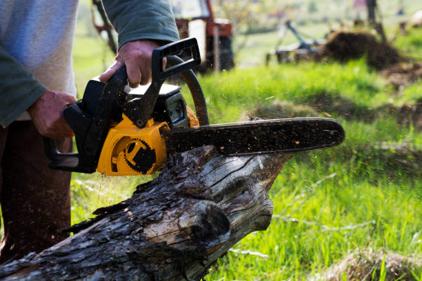 Best Soil Testing and Treatment  in Mount Hope, WV